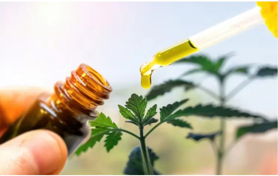 disposable-vape-cbd-oil disposable-vape-cbd-oil