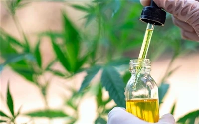 9 helsefordeler med CBD-olje - og bivirkninger