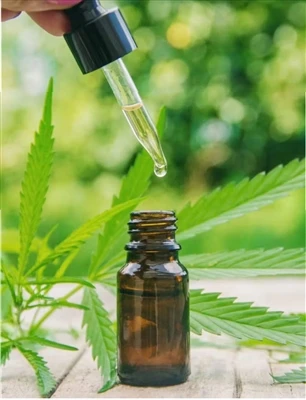 Hva du bør vite før du prøver CBD