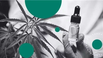 Hamp vs CBD: Hva er forskjellen?