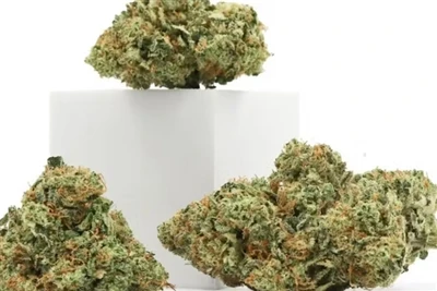 Hvorfor CBD gir de beste naturlige leppepomader