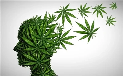 Hvordan bruke CBD-olje for optimale fordeler: Full guide?